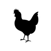 animal1.