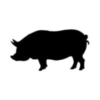 animal2.