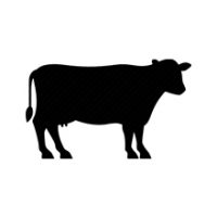 animal3.