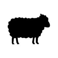 animal4.